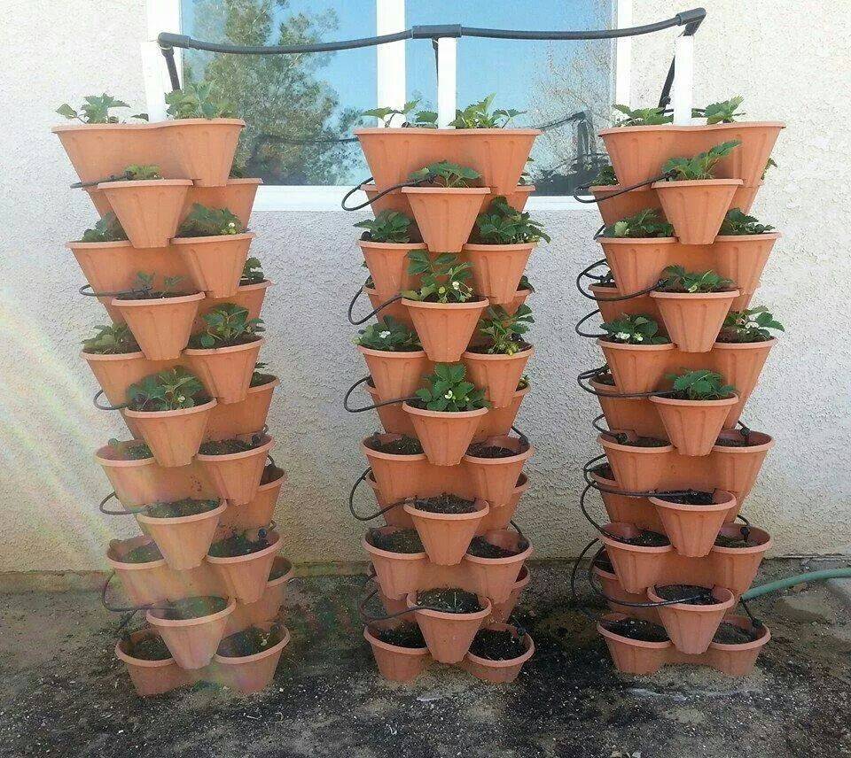 Easy Vertical Gardening