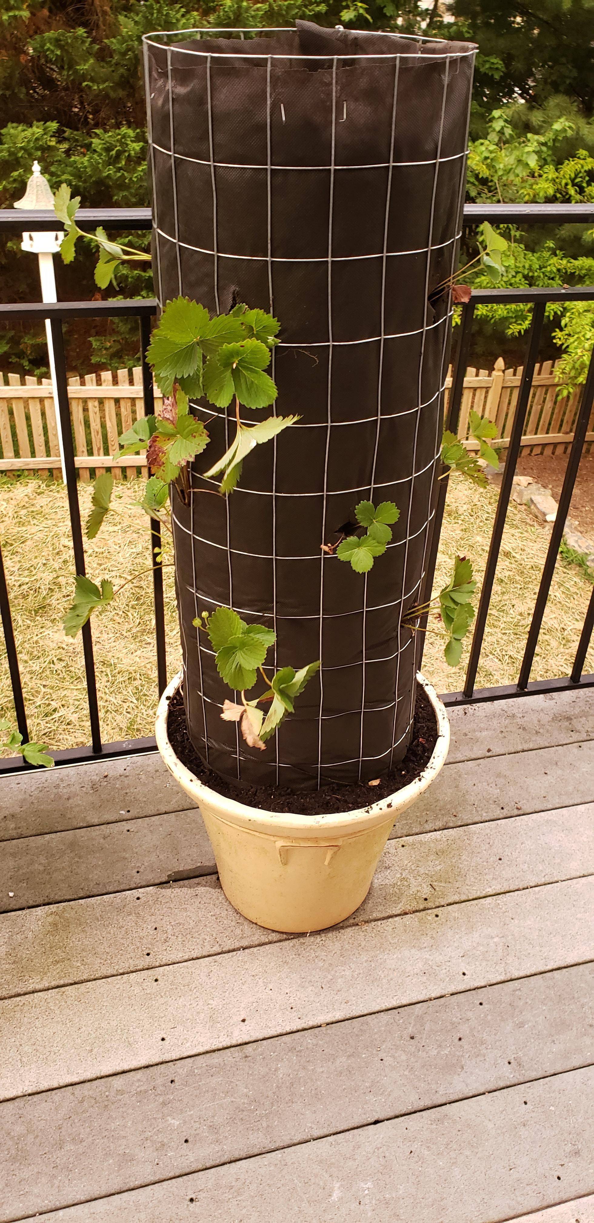 A Garden Tower Vertical Container