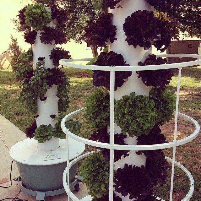 22 Aeroponic Vertical Tower Garden Ideas You Should Check SharonSable