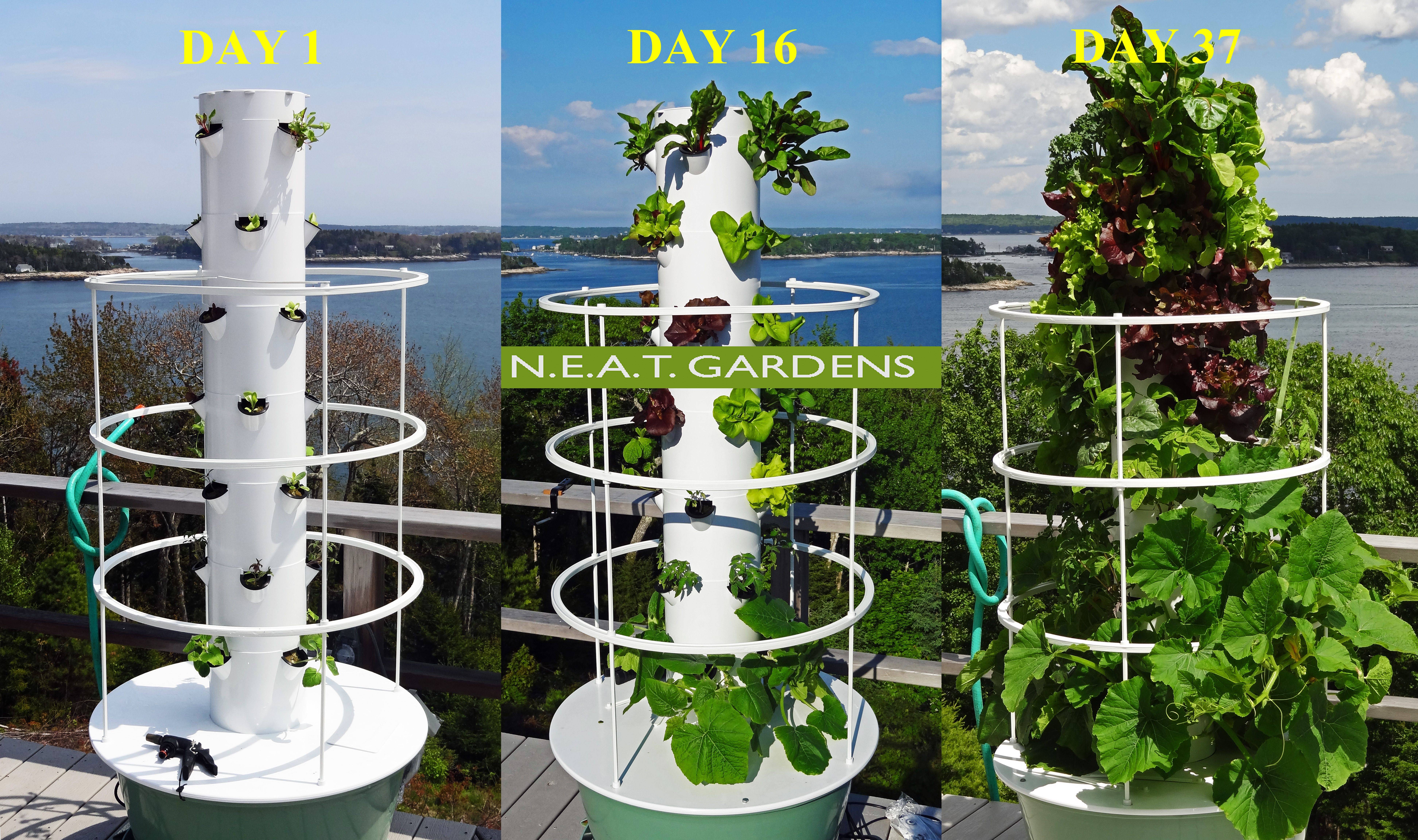 Ohare International Airport