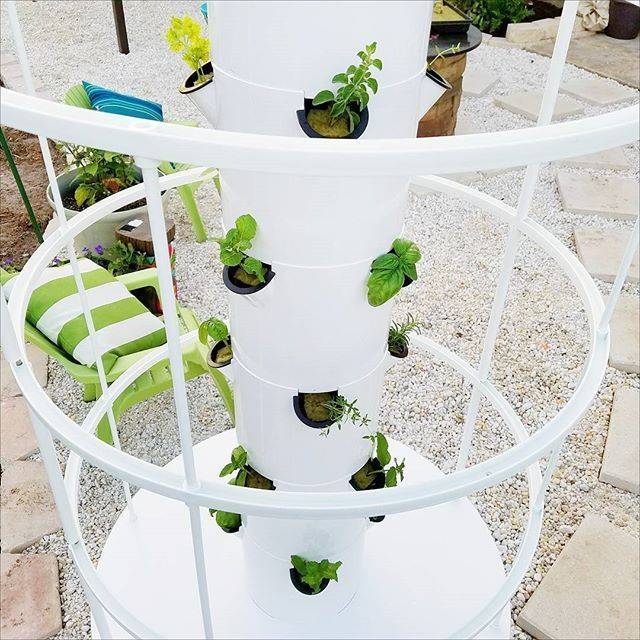 Tower Garden Buzz Tower Garden