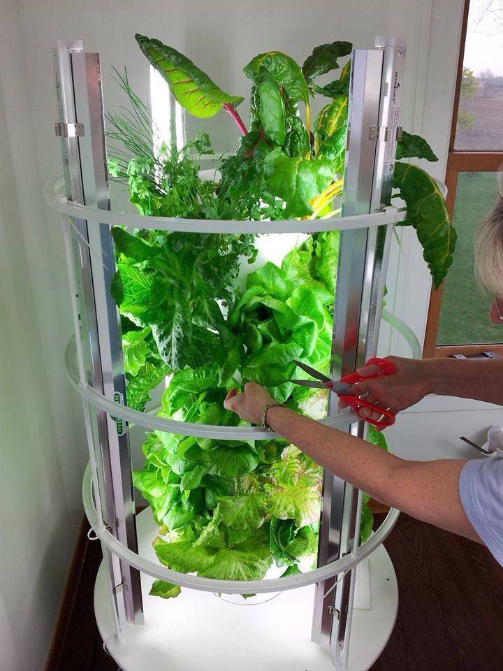 21 Indoor Tower Garden Ideas Worth a Look SharonSable