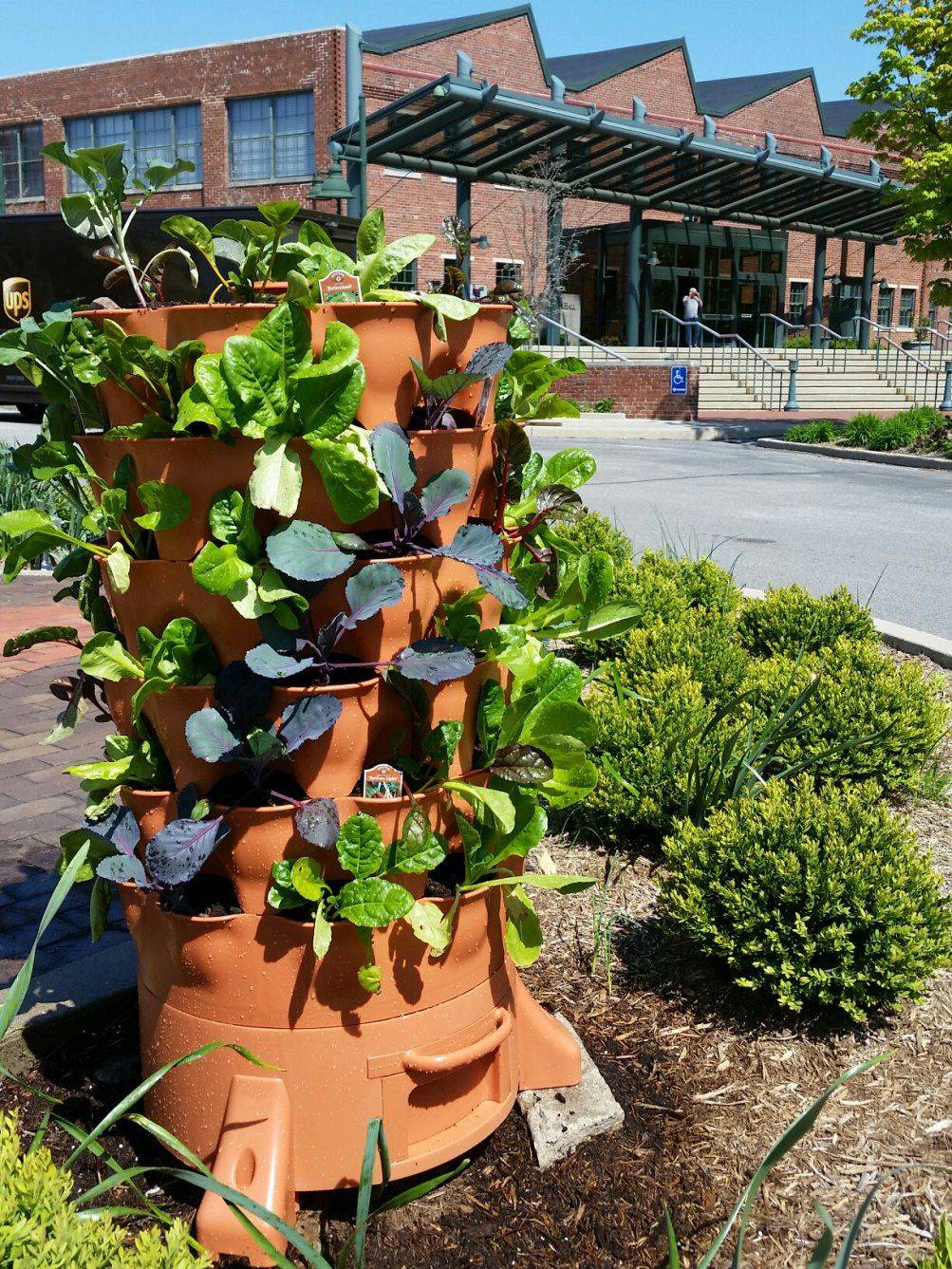 Your Own Tower Garden