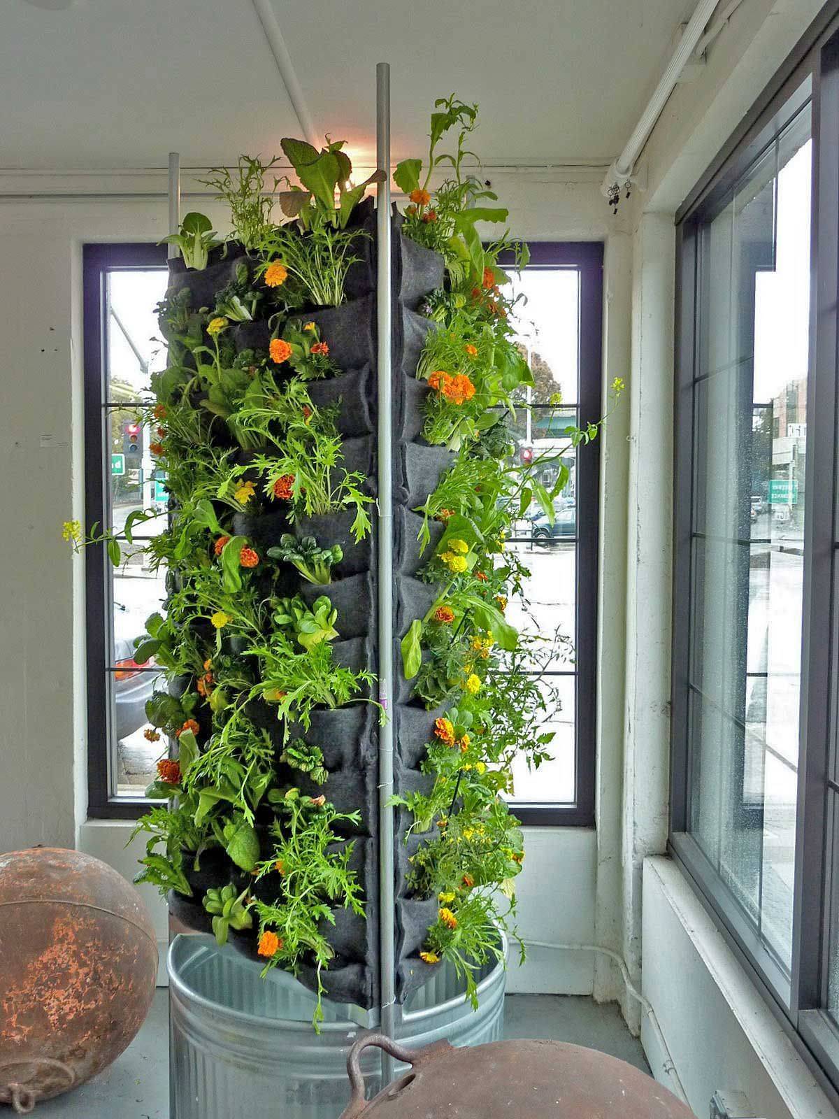 All Winter Tower Garden