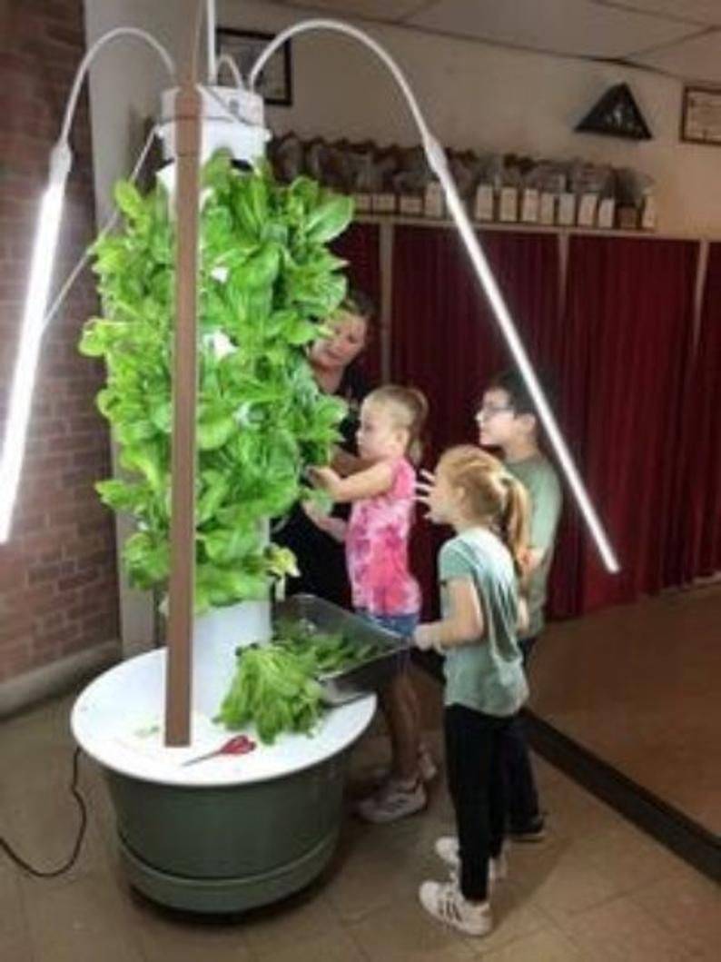 All Winter Tower Garden