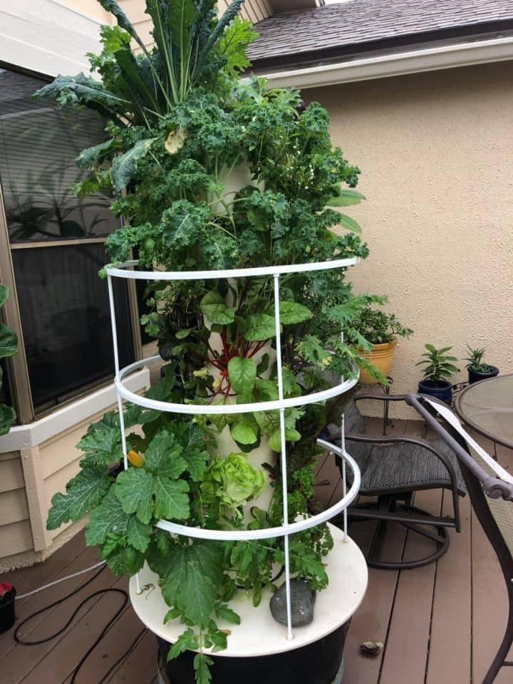 Indoor Growing Hydroponic Gardening
