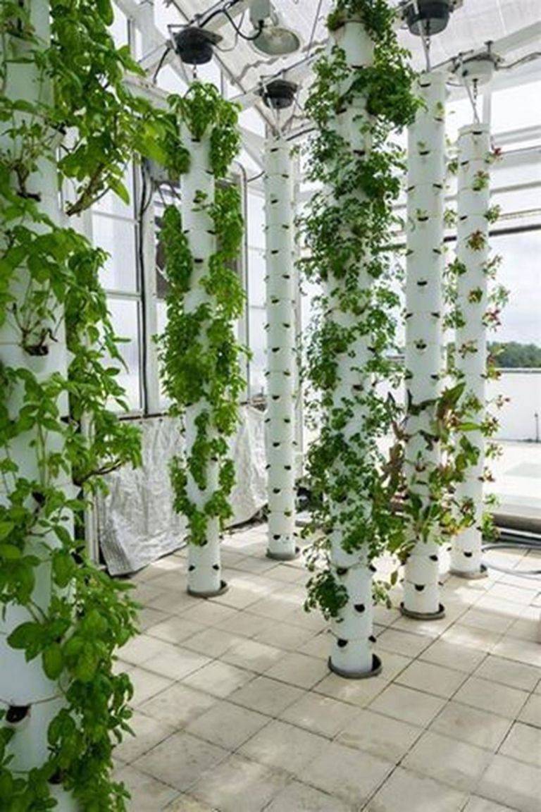 Your Indoor Vertical Garden