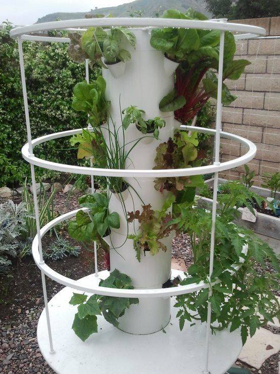 Automated Vertical Hydroponic Vegetable Gardens