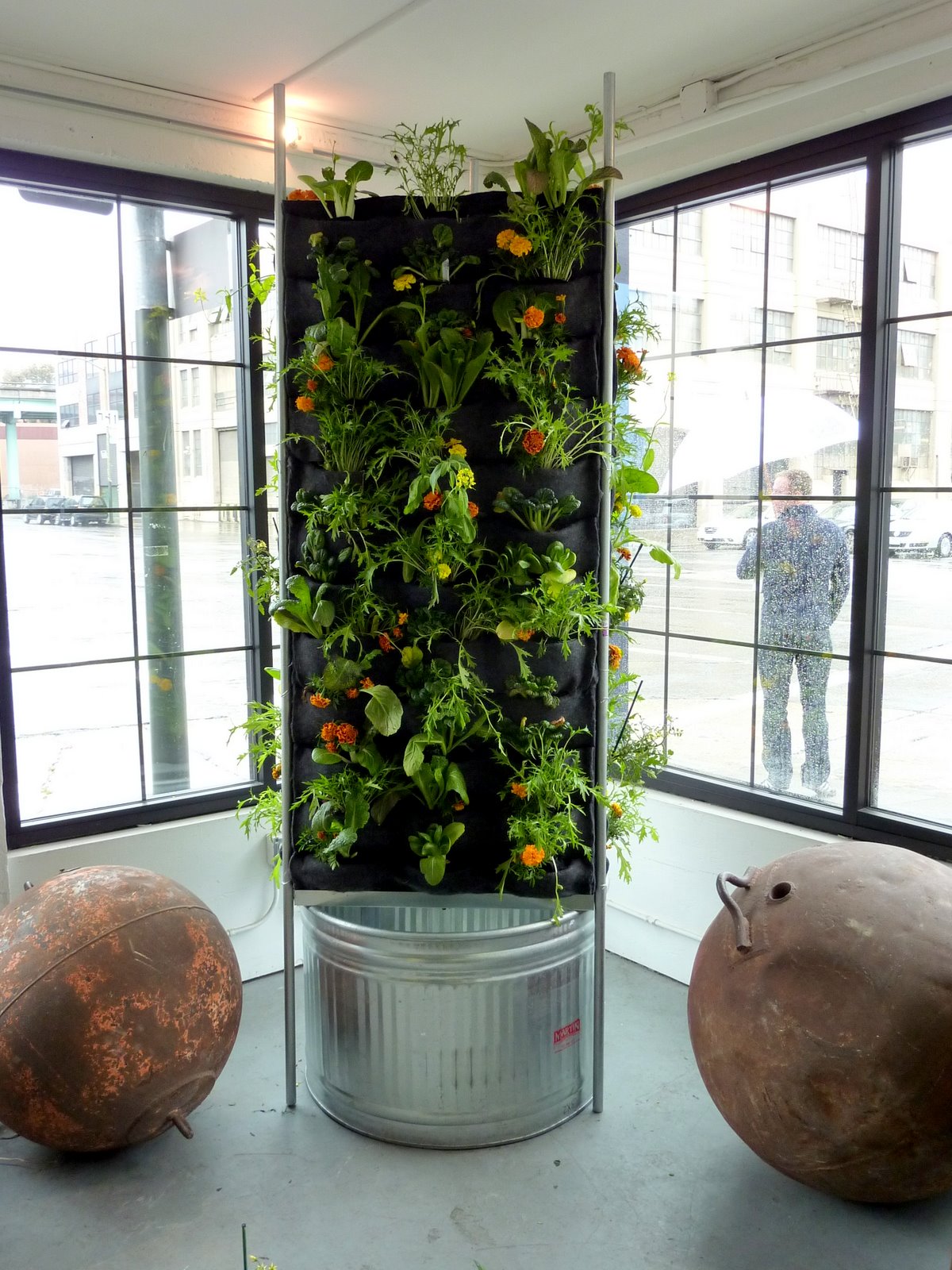 Containergardening Gardening