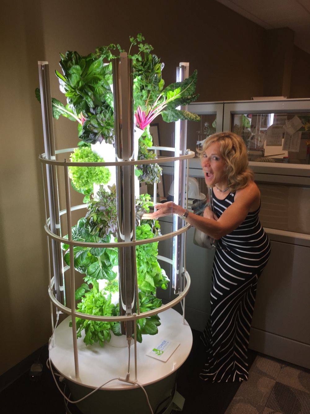 Winter Indoor Tower Gardening Wwwmargarettowergardencom Tower