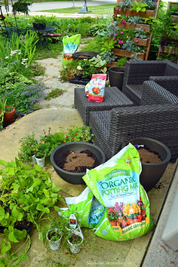 Organic Vegetable Container Garden