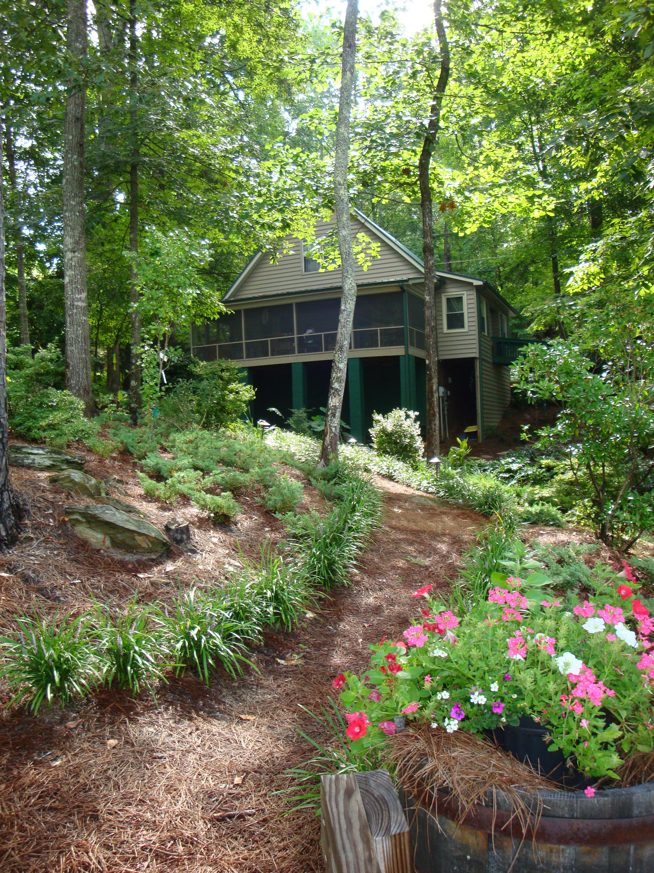 An Organic Kitchen Garden