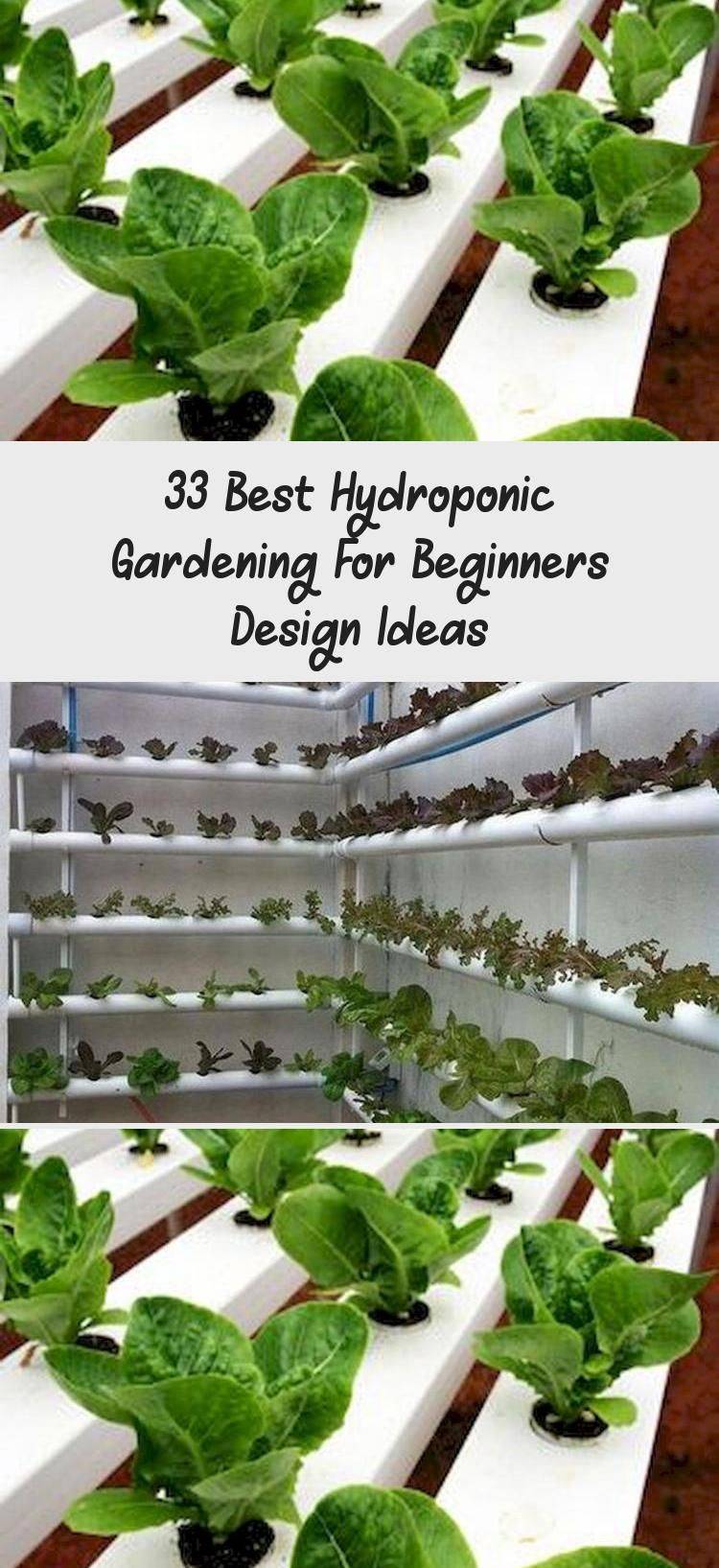 Simple Hydroponic Garden Ideas