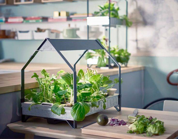 Easy To Try Hydroponic Gardening For Beginners Design Ideas And