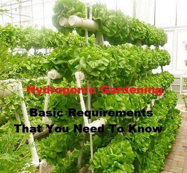 Easy To Try Hydroponic Gardening For Beginners Design Ideas And
