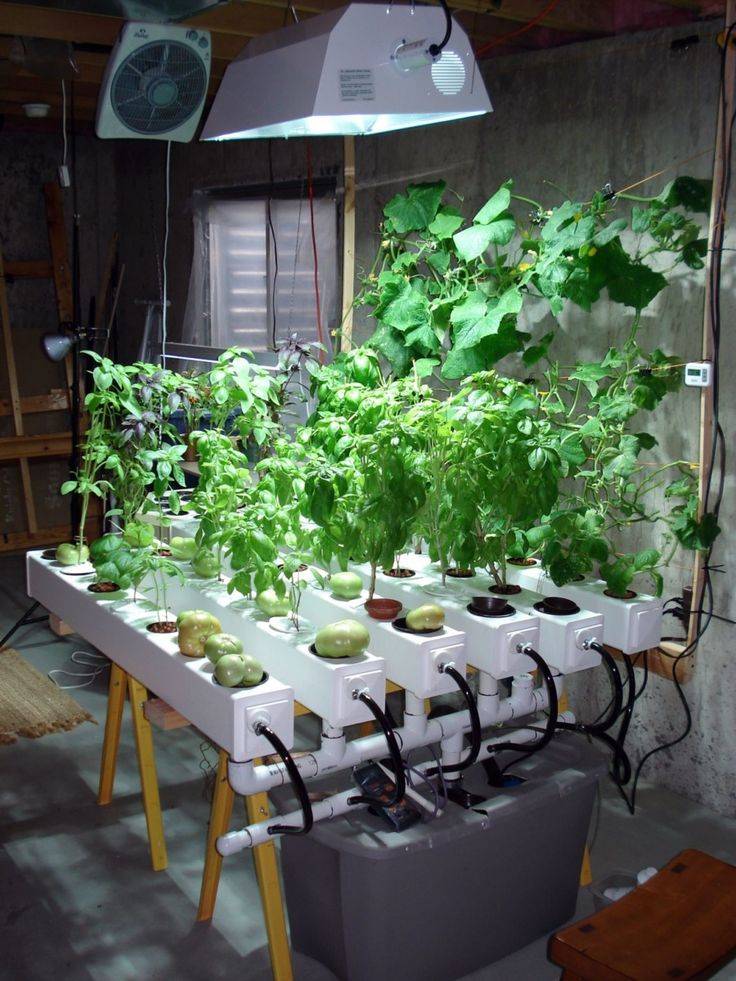 Aquaponics Clay Media Aquaponicsmedium Refferal