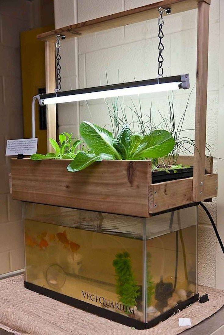 Hydroponic Gardening