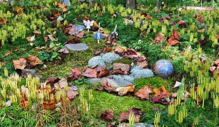 Fairy Garden Ideas Enchanted Forest Tree Houses Gnomes Silahsilah
