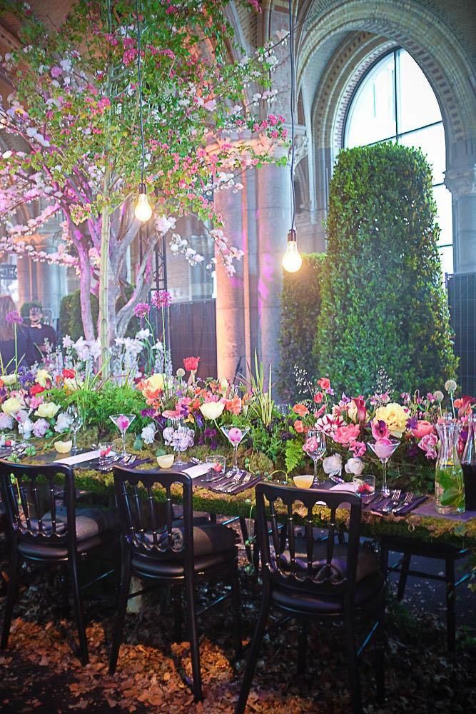 Whimsical Garden