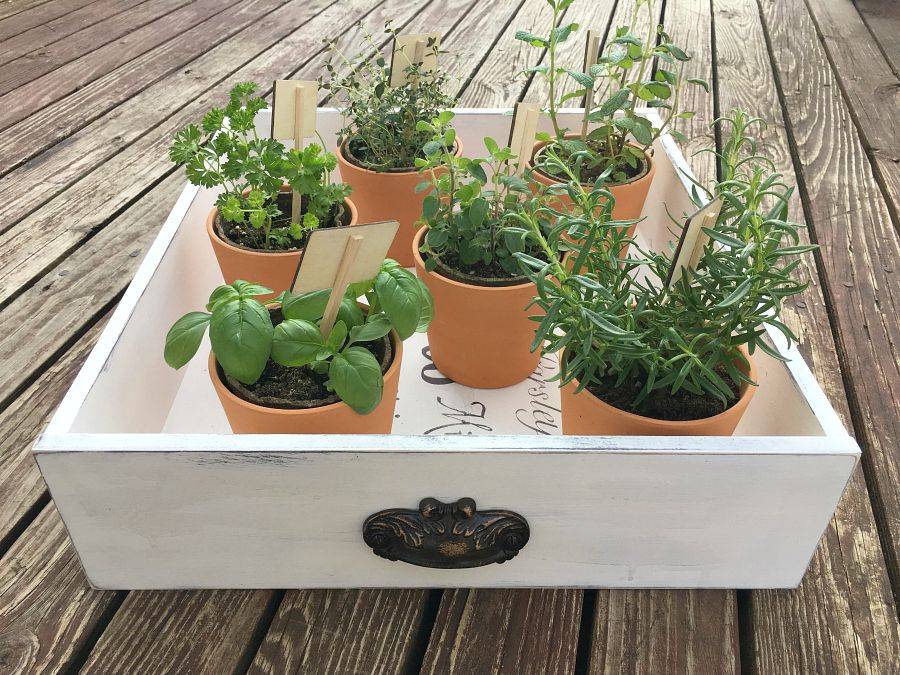 Easy Kitchen Herb Garden Ideas