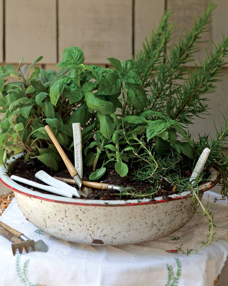 Best Herb Garden Ideas