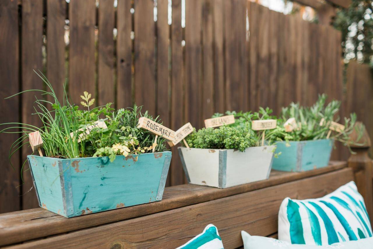 Fanciful Indoor Herb Gardens