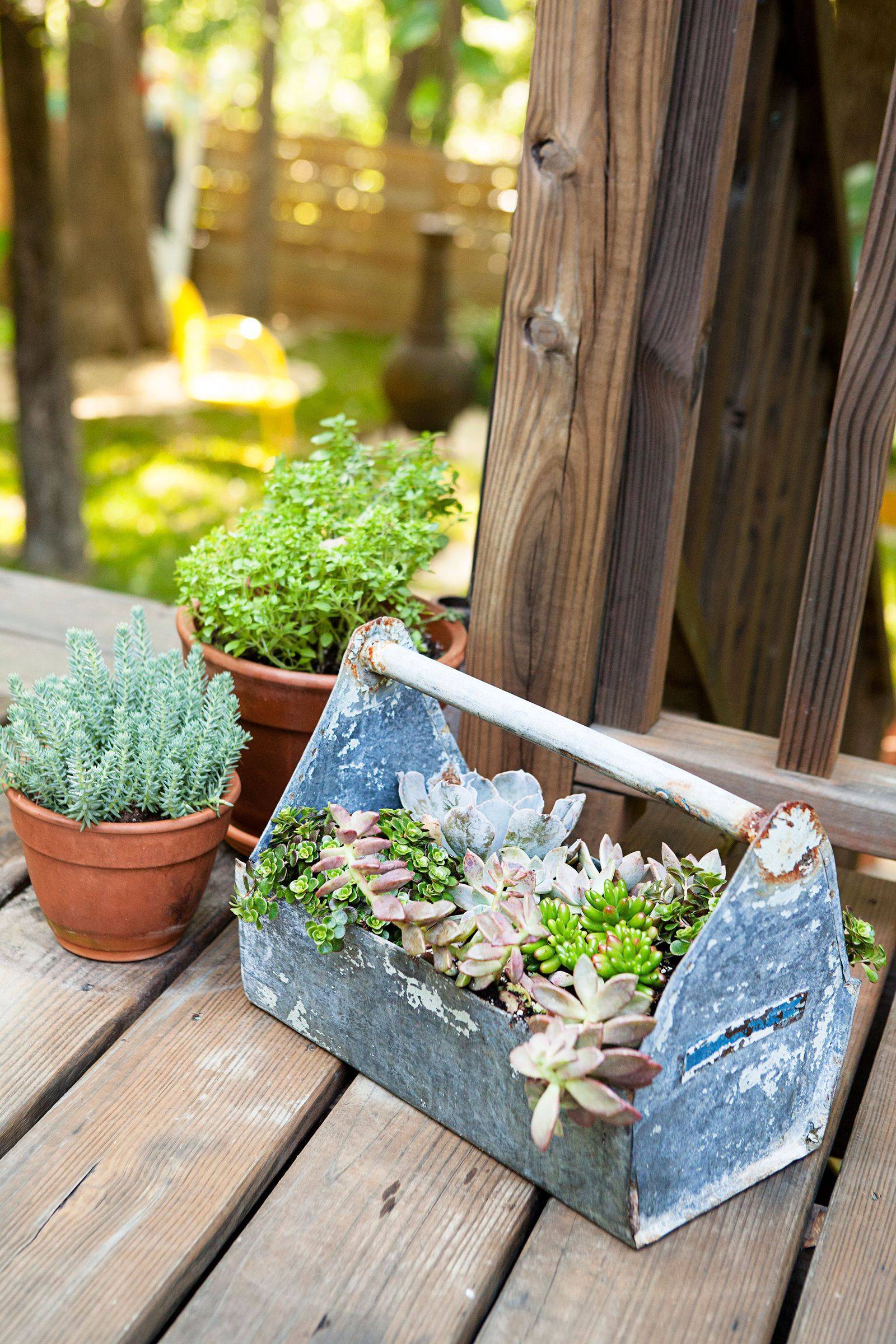 A Portable Herb Garden Southern Lady Magazine