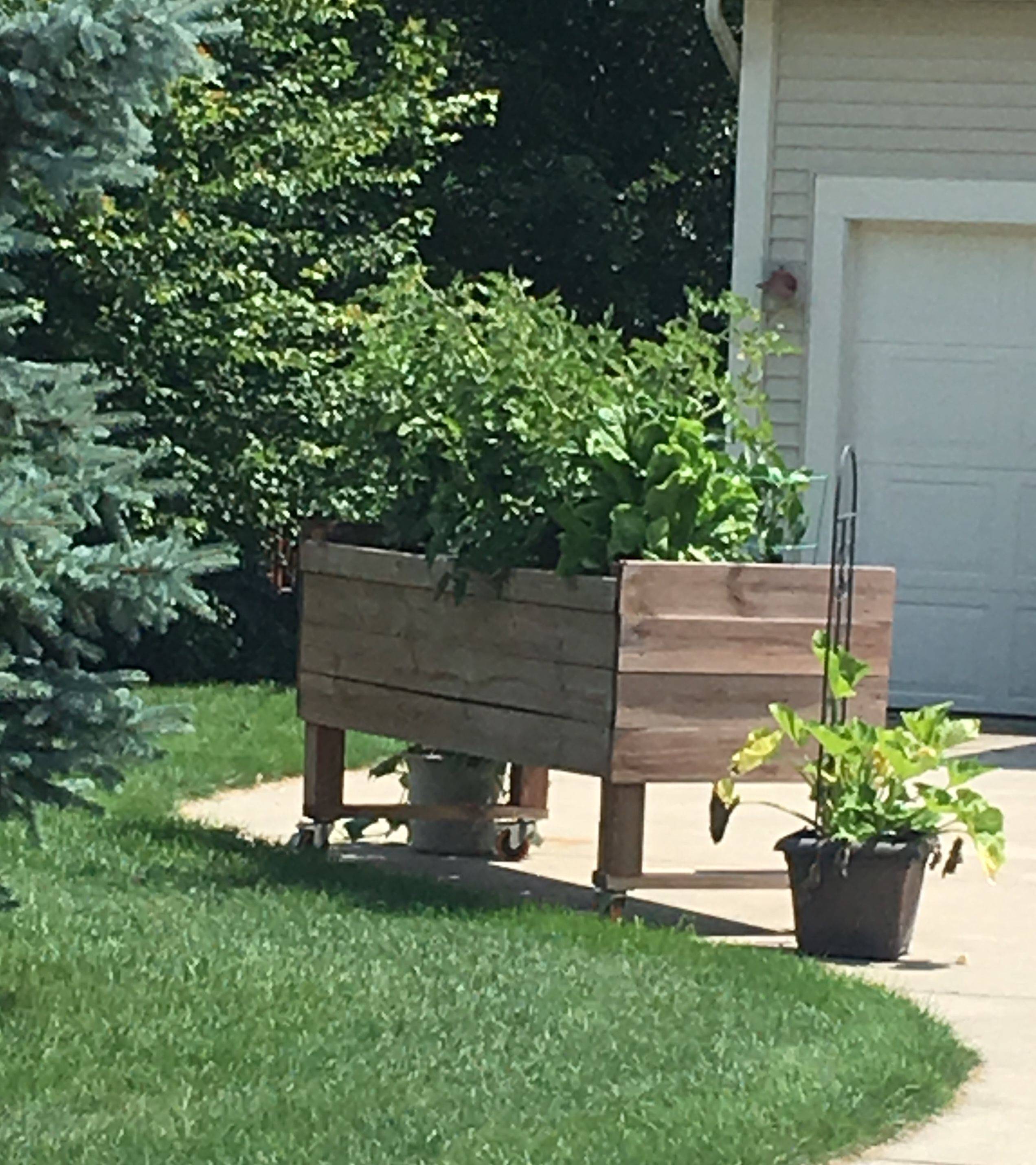 Indoor Herb Garden Diy