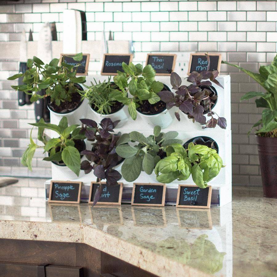 The Cutest Indoor Herb Garden Diy