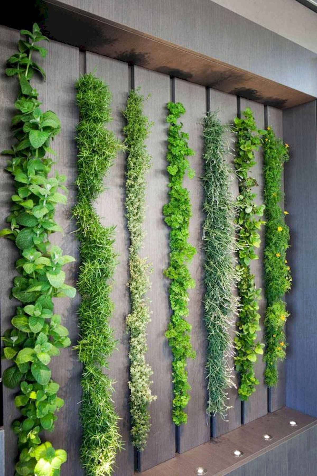 Top Indoor Herb Garden Ideas