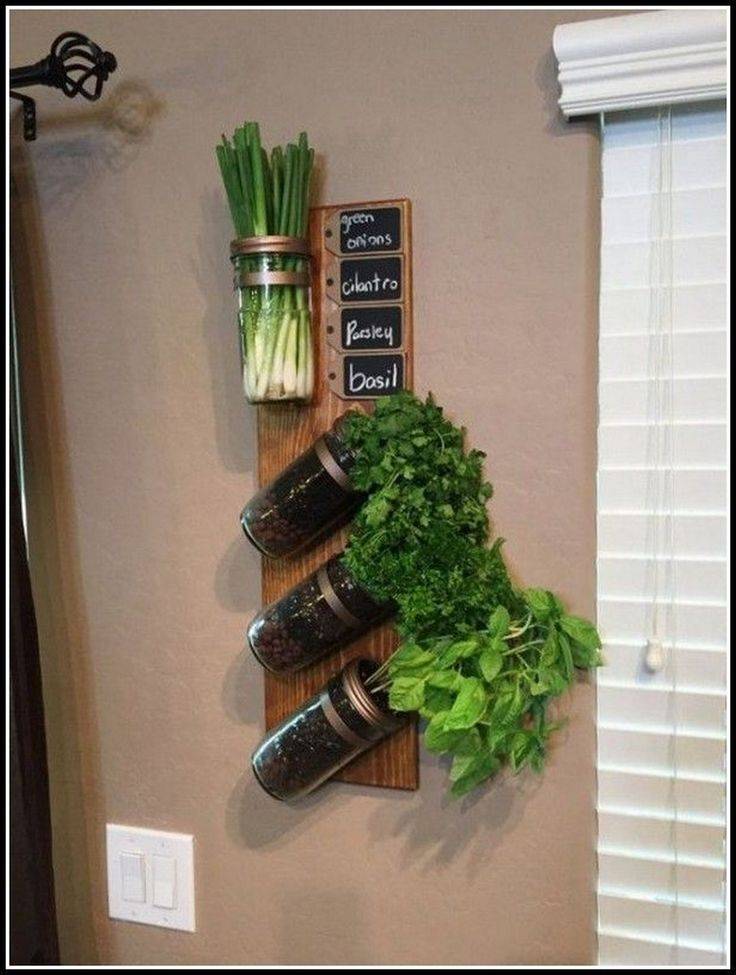 Indoor Garden Apartment