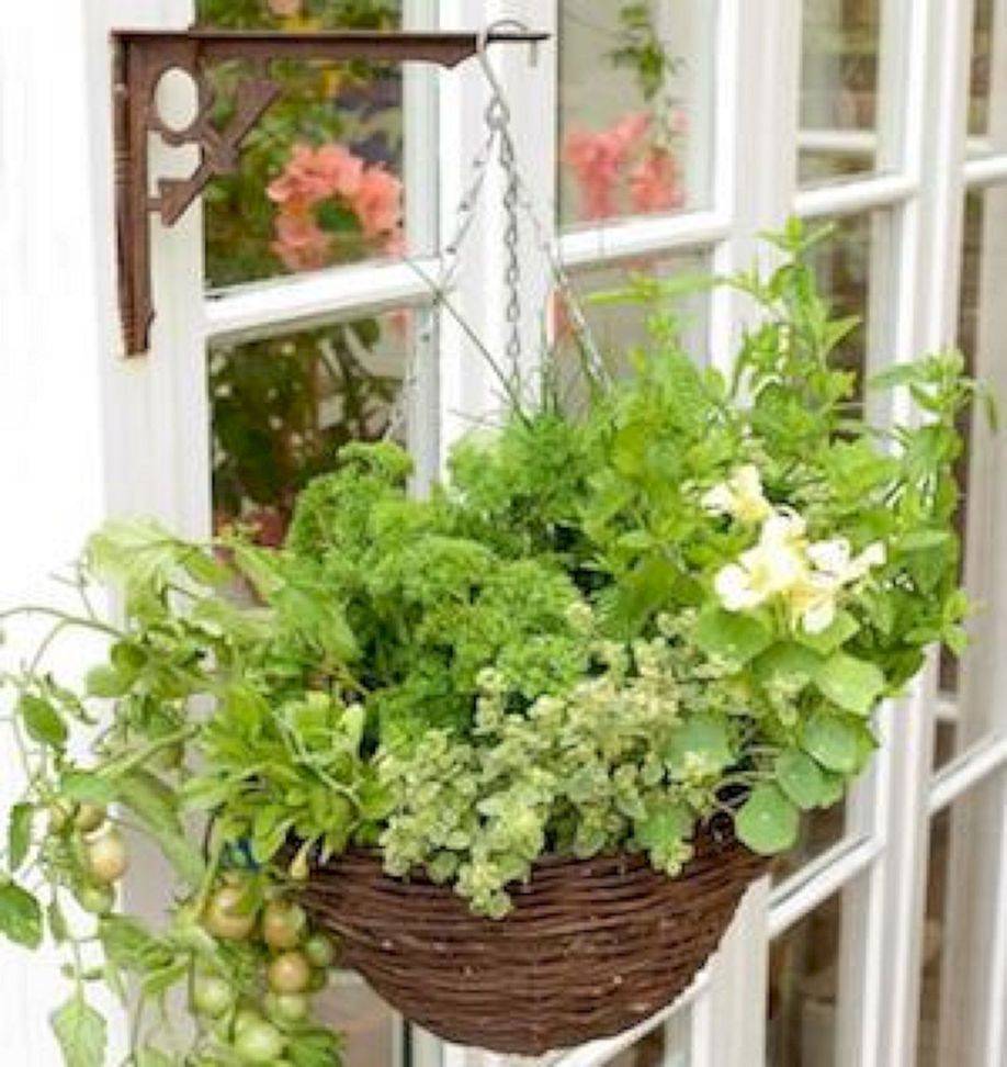 Best Indoor Herb Garden Ideas