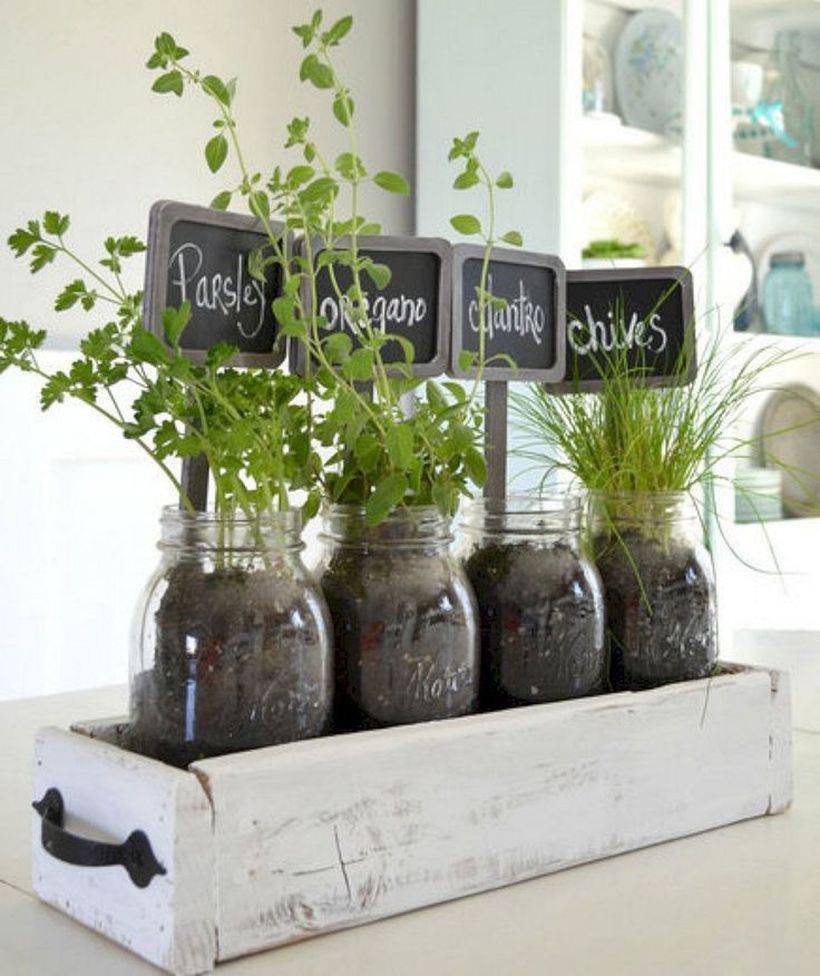 Best Indoor Herb Garden Ideas