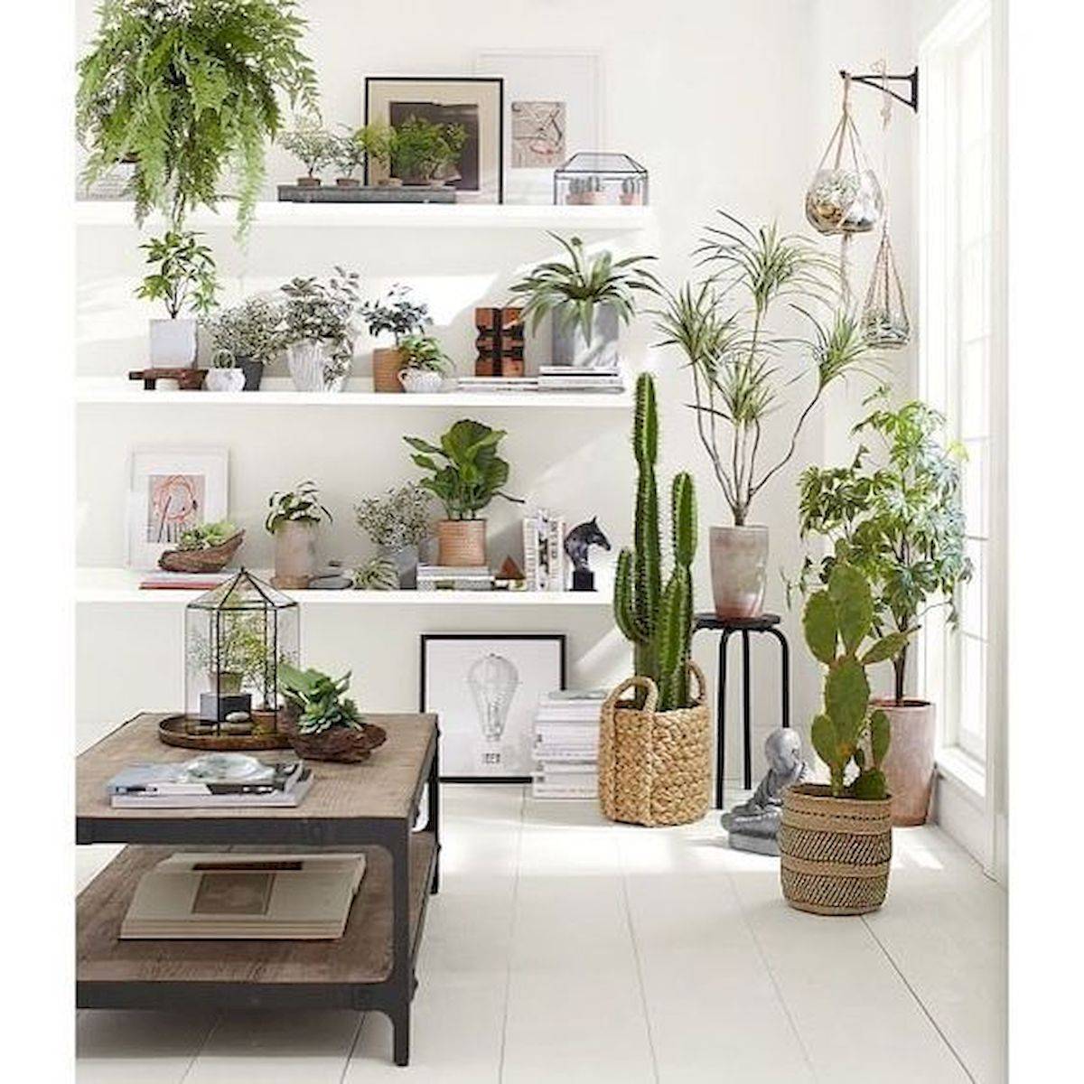 Herb Garden Indoor Ideas Page