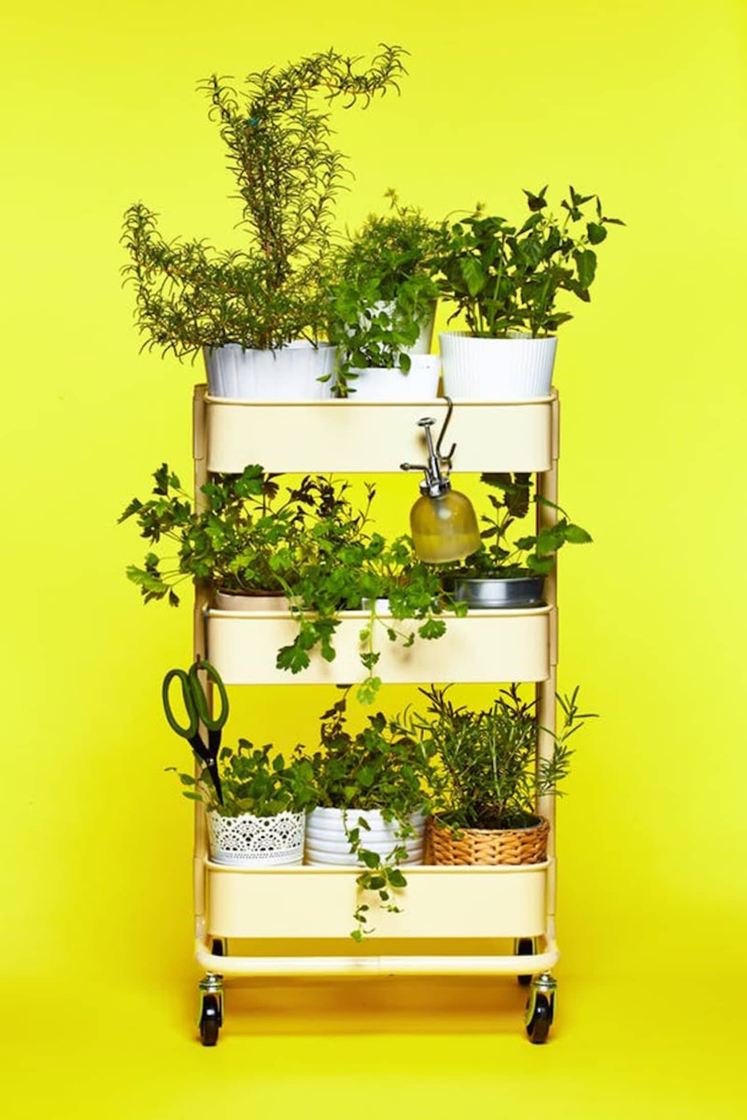 Creative Indoor Herb Garden Designs