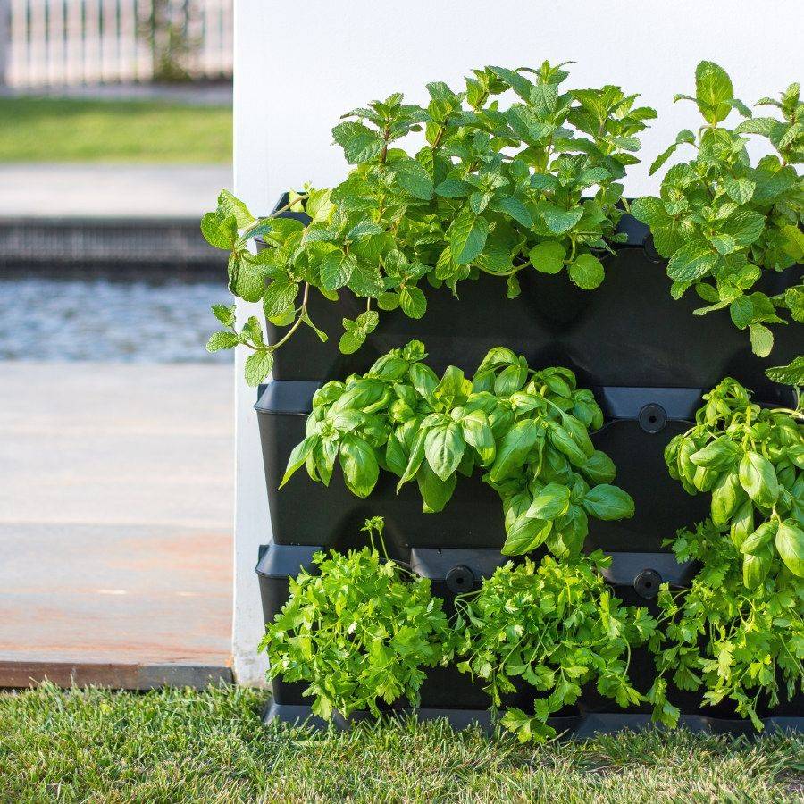 Creative Herb Garden Ideas