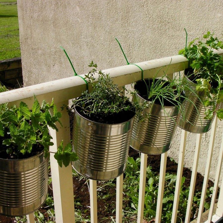 Creative Herb Garden Ideas