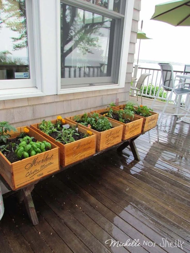 Creative Herb Garden Ideas