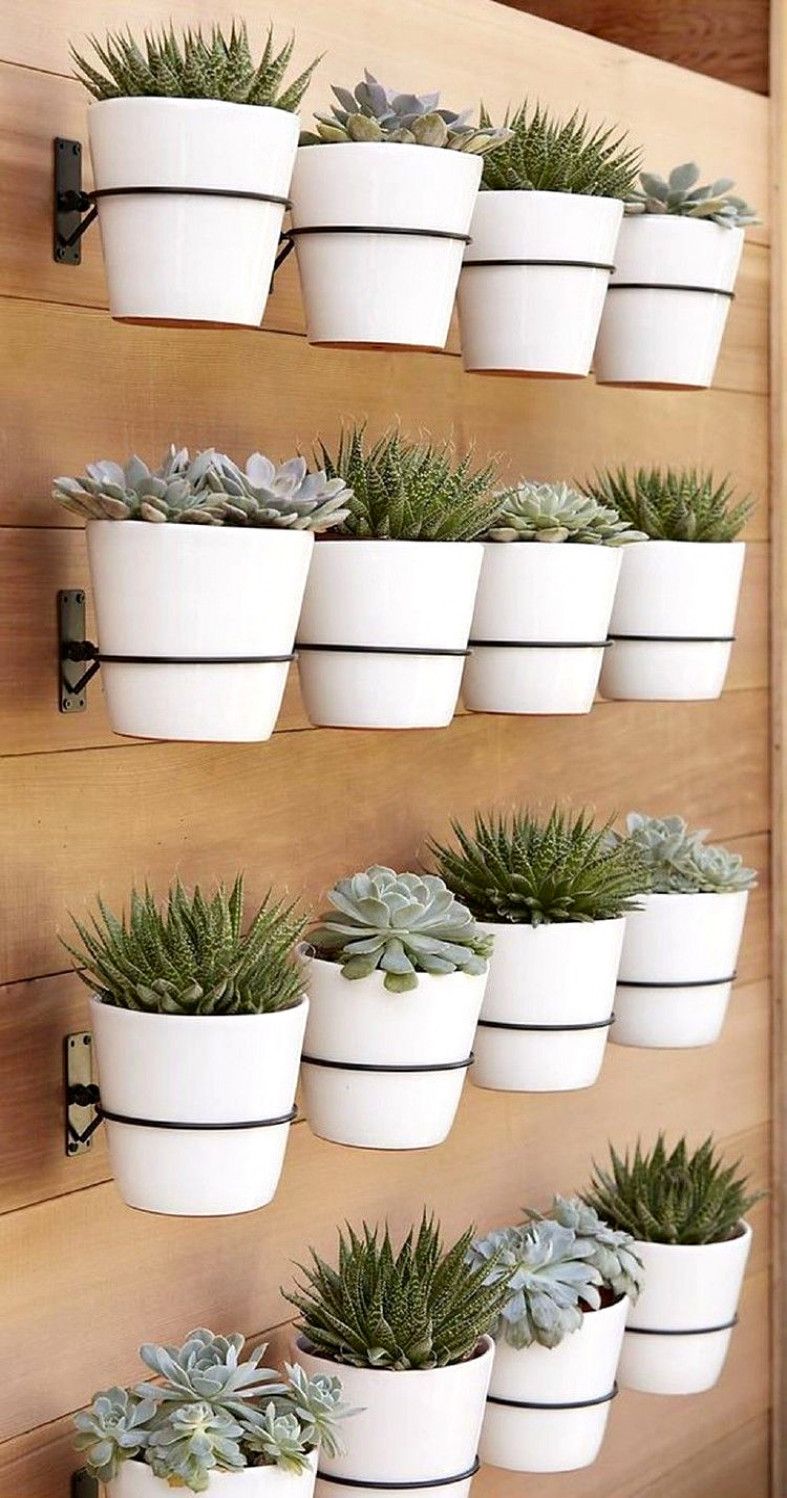 Creative Indoor Herb Garden Ideas