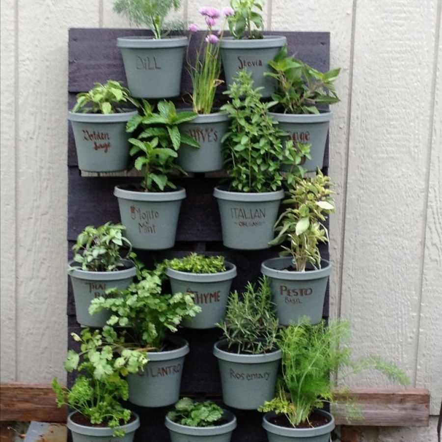 Creative Indoor Herb Garden Ideas