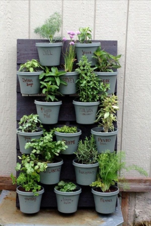 Creative Indoor Gardening Ideas