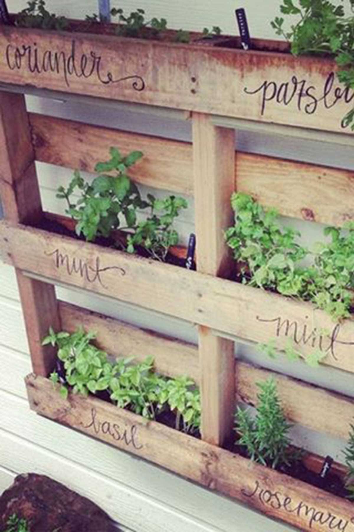 Cool Small Herb Gardens