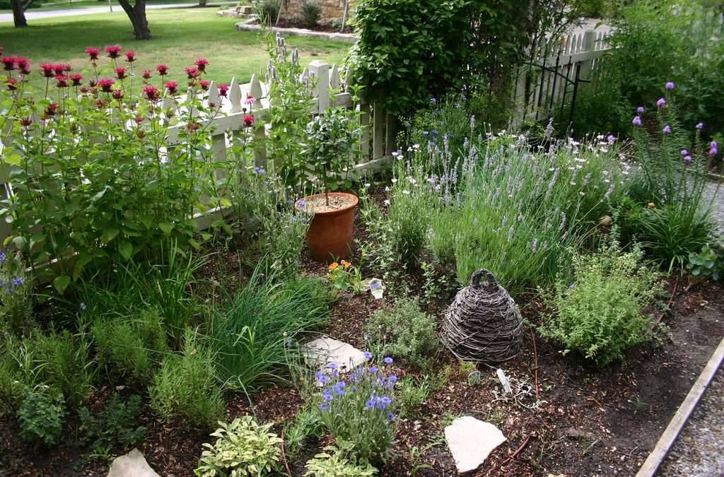 Patio Herb Garden