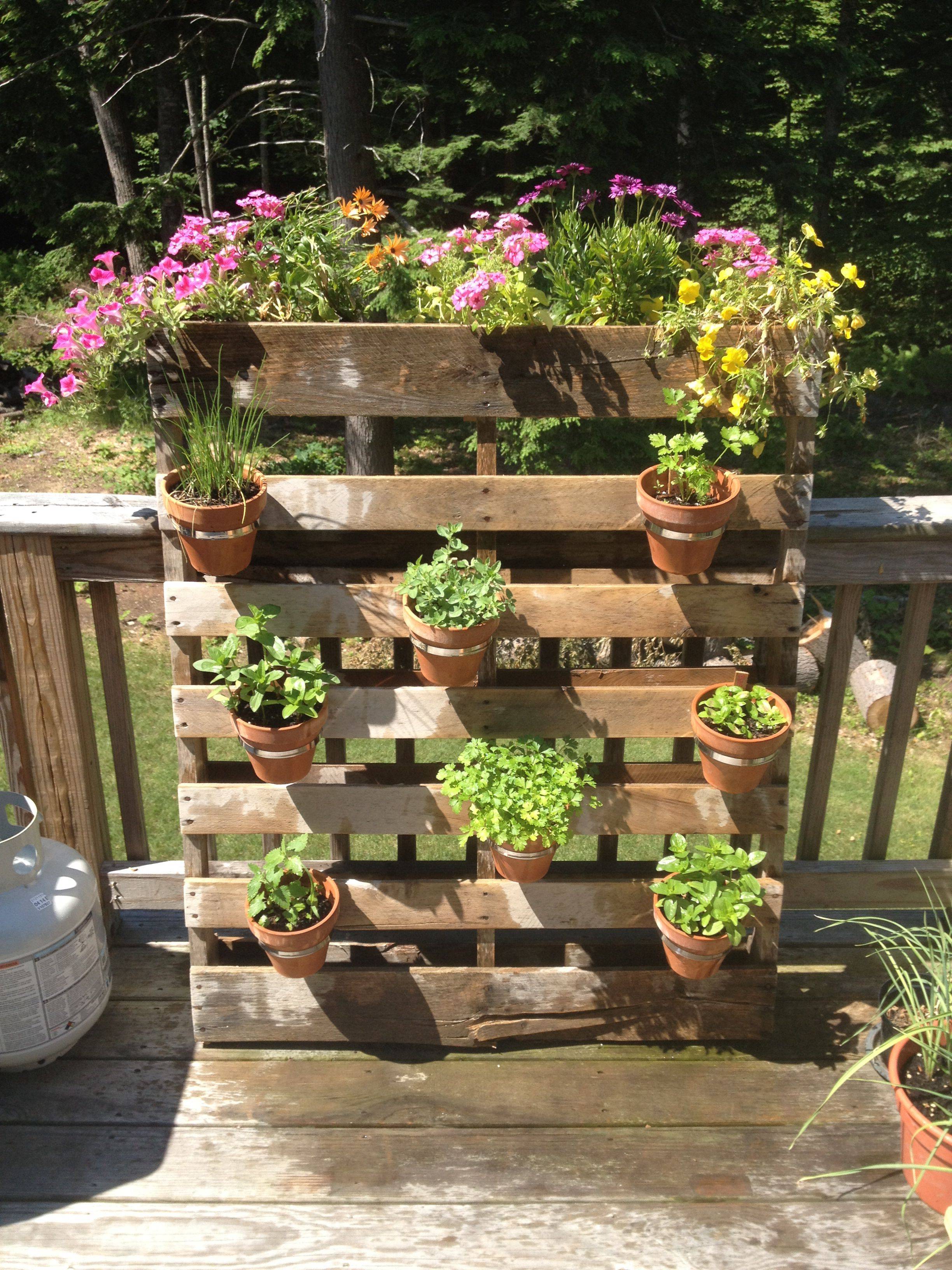 Outdoor Herb Garden