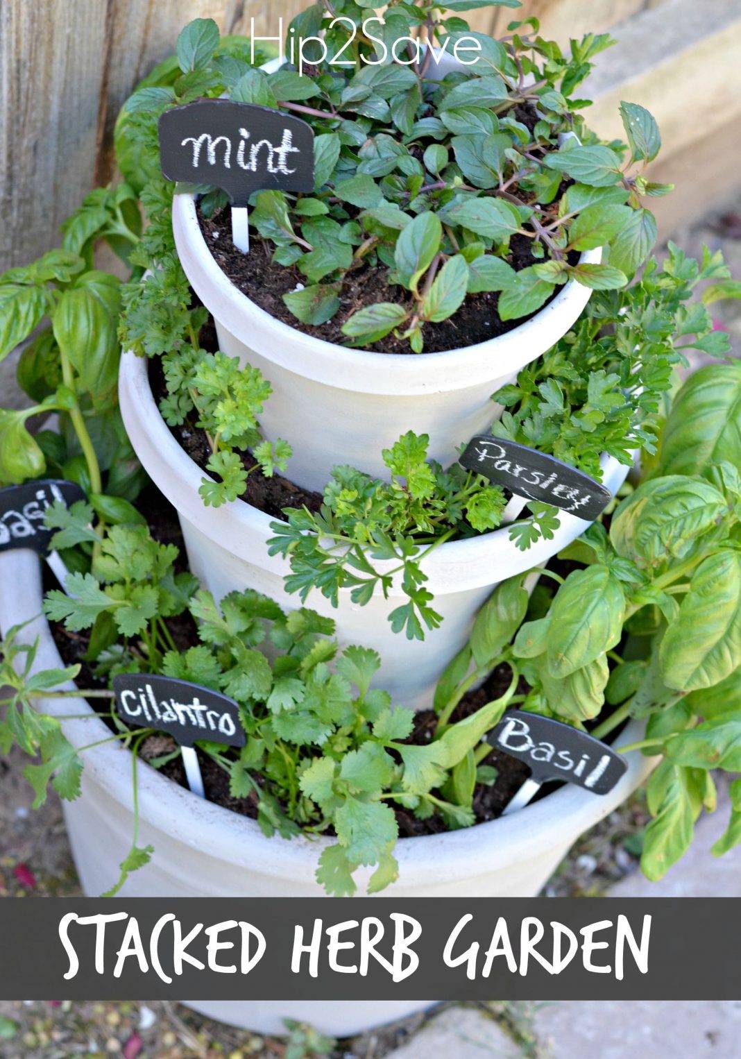 The Best Potted Herb Garden Ideas