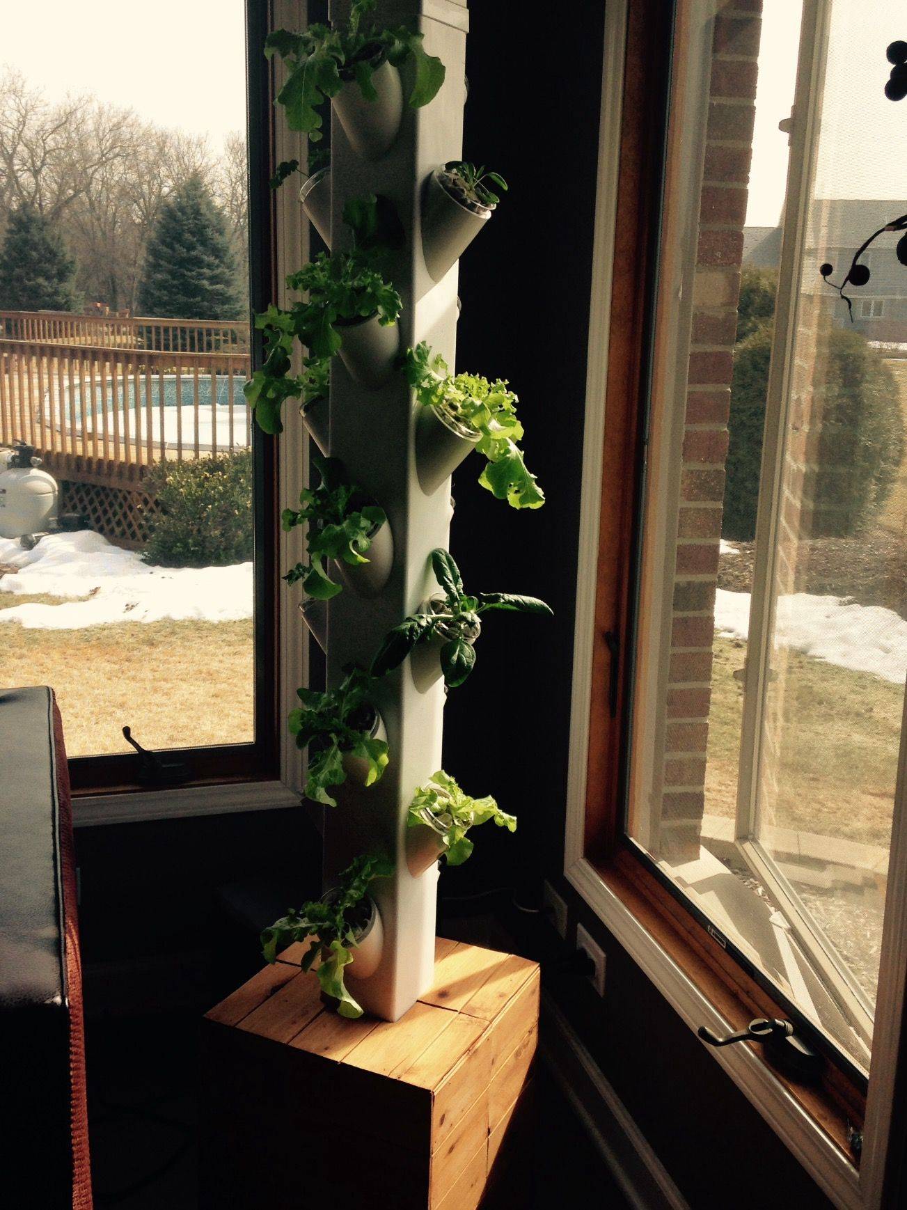 Hydroponic Gardening
