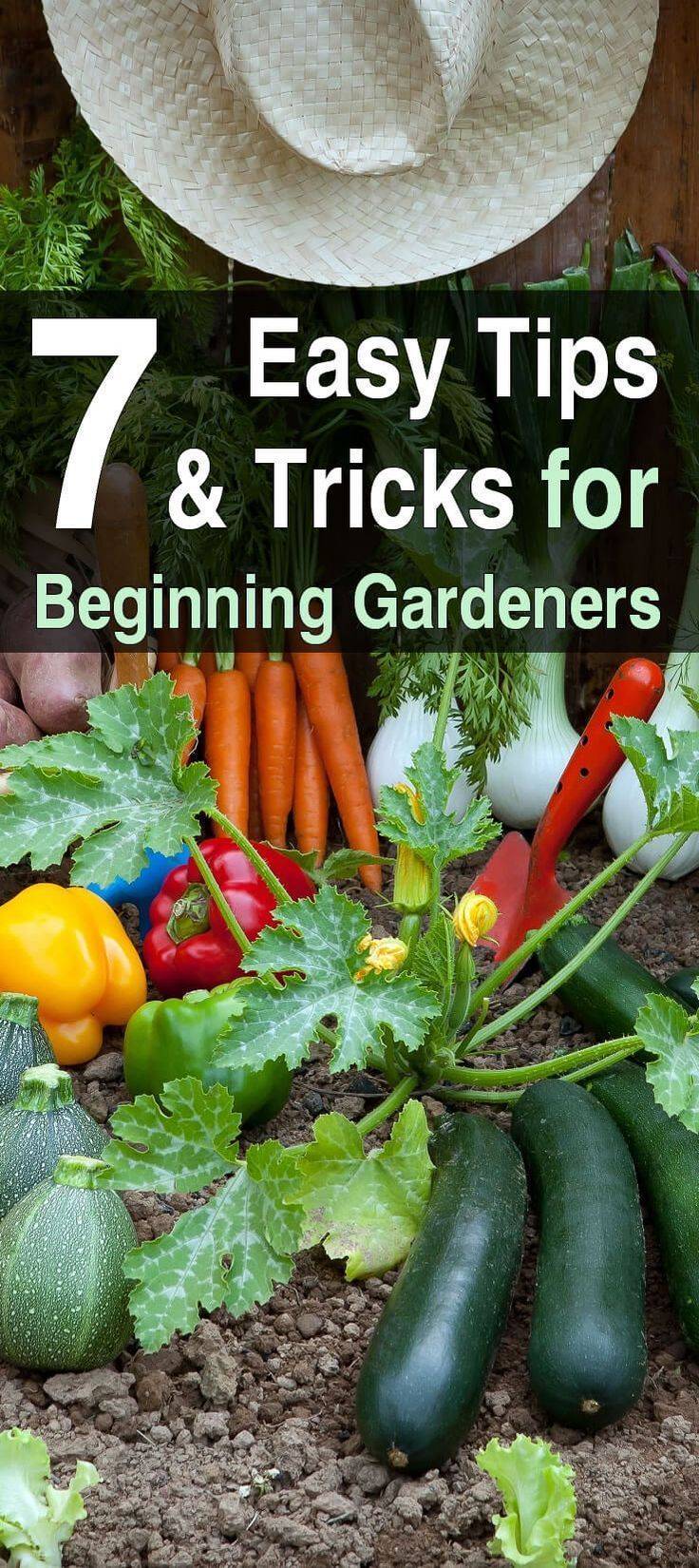 16 Vegetable Garden Tips and Tricks Ideas You Should Check SharonSable