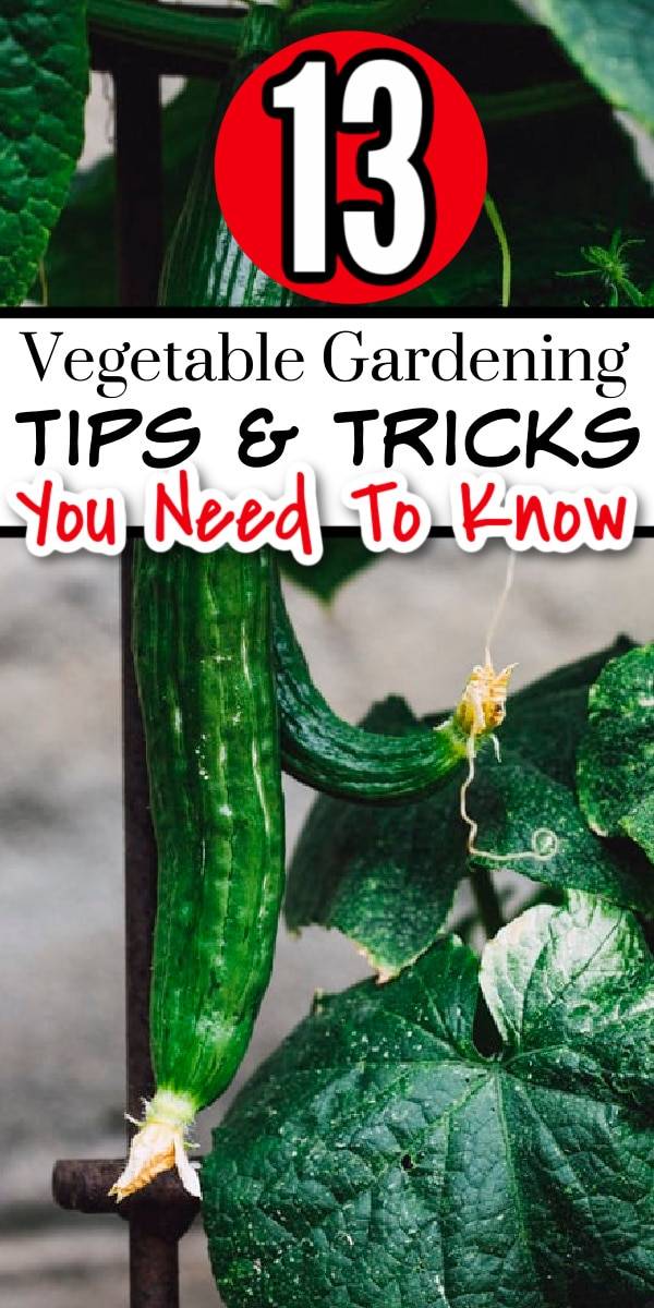 Other Gardening Tips