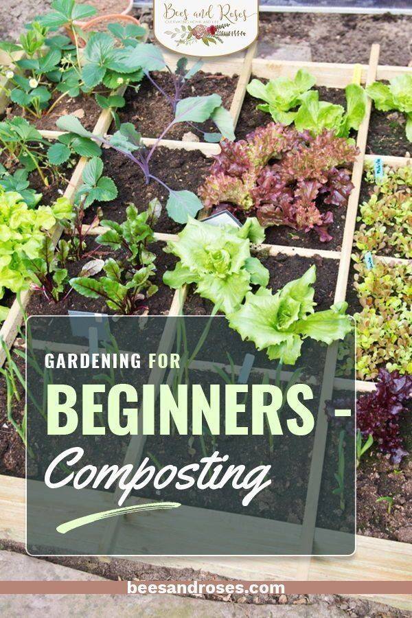 New Garden Tips