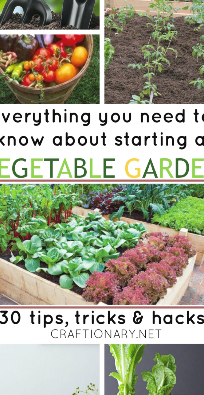 Easy Vegetable Gardening